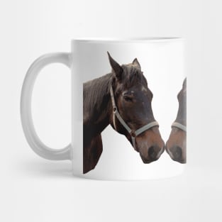 The head of a horse, two horses Mug